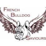 French Bulldog Saviours